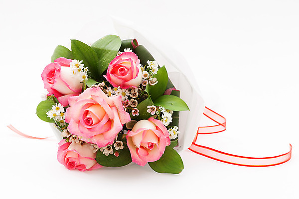 포토 JPG 해외이미지 식물 꽃잎 꽃 리본 길 꽃다발 백그라운드 잎 꽃무늬 자연 발렌타인데이 선물 사랑 씨앗 사람없음 장식 초록색 컬러풀 장미 벚꽃 흰색 신선 원형 우아함 혼합 배열 묘사 질감 내추럴 고립 해외202004 해외포토 도형 감정 컬러 컨셉 무늬 데이이벤트 생태계 파일형식 이미지허브