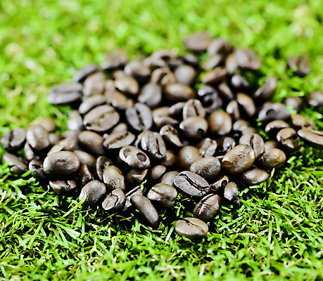 포토 JPG 해외이미지 전통 길 할머니 커피 콩 손잡이 씨앗 사람없음 컵 가로 갈색 금속 주방 어둠 카페 수확 흰색 기구 뜨거움 자르기 굽기 오브젝트 복고 순환 향기 그라인더 갈기 청동 방앗간 고립 구식 깨짐 모카 옛날 조작 해외202004 해외포토 식물 식기 여자 노년 음료 컬러 컨셉 농업 모션 재질 곡류 상점 구이 냄새 커피용품 파일형식 이미지허브