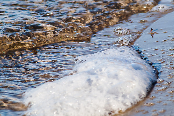 포토 JPG 해외이미지 계절 모래 파도 바다 여행 백그라운드 자연 조류 휴가 휴식 따뜻함 해변 사람없음 야외 물 여름 빛 햇빛 태양 반사 노란색 우주 일출 맑음 침묵 일몰 거품 젖음 흰색 투명 서핑 황금 질감 내추럴 파라다이스 해외202004 해외포토 자연요소 동물 컬러 컨셉 날씨 노을 소리 수상스포츠 생태계 파일형식 이미지허브