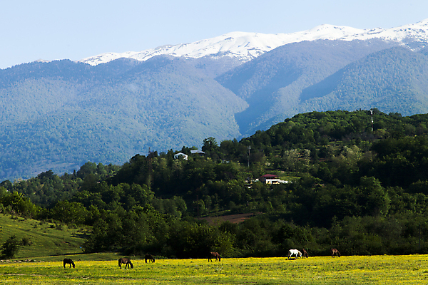 포토 JPG 해외이미지 나무 구름 계절 공원 유럽 호수 여행 백그라운드 캐나다 자연 하늘 산 풍경 사람없음 야외 초록색 물 여름 파란색 강 환경 계곡 맑음 봄 바위 흰색 시골 연기 숲 언덕 장면 내추럴 산악지대 전국 절정 콜로라도 해외202004 해외포토 자연요소 식물 공공시설 나라 컬러 북아메리카 날씨 미국 돌_바위 생태계 파일형식 이미지허브