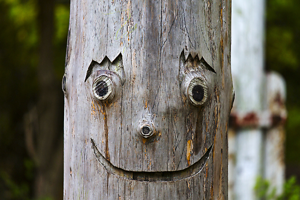 포토 JPG 해외이미지 나무 얼굴 조각 자연 날씨 미소 웃음 사람없음 목재 유머 숲 노력 나무껍질 해외202004 해외포토 식물 감정 재료 표정 신체부위 껍질 생태계 파일형식 이미지허브