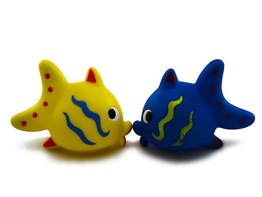 포토 JPG 해외이미지 어린이 바다 놀이 어류 사람없음 물 여름 파란색 장난감 노란색 수중 수영 목욕 줄무늬 흰색 산호 암초 수족관 고무 고립 해외202004 해외포토 자연요소 계절 컬러 무늬 사람 수중동물 청결 수상스포츠 자포동물 파일형식 이미지허브