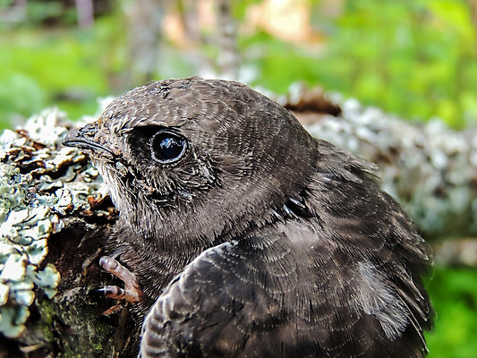 포토 JPG 해외이미지 아이콘 일러스트 휴가 사람없음 그래픽 라벨 검은색 미국 꿈 자유 축하 원형 신용카드 날짜 역사 왕 쇼핑몰 심볼 배지 A 베를린 기념물 다운로드 속담 I 고립 워싱턴 전국 평등 항의 해외202004 해외포토 도형 문자 알파벳 컬러 컨셉 북아메리카 프레임 독일 금융 파일형식 이미지허브