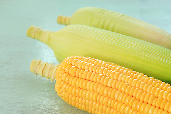 포토 JPG 해외이미지 음식 농업 채소 옥수수 사람없음 노란색 신선 달콤 내추럴 숙성 해외202004 해외포토 산업 컬러 곡류 맛 파일형식 이미지허브