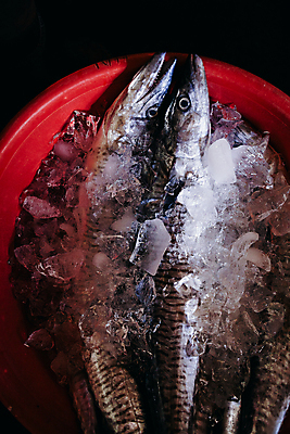 포토 JPG 해외이미지 전통 아시아 문화 음식 바다 조각 비즈니스 자연 거리 건강 어류 요리 동양인 사람없음 세일 얼음 여러개 젖음 신선 도시 시장 자르기 참치 해산물 날것 베트남 지역 고등어 소매 이국적 차이나타운 해외202004 해외포토 자연요소 나라 다수 모션 인종 관광지 동남아시아 수중동물 생태계 파일형식 이미지허브