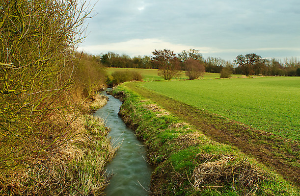 포토 JPG 해외이미지 나무 구름 영어 계절 백그라운드 잎 자연 하늘 잉글랜드 풍경 사람없음 야외 초록색 물 여름 파란색 빛 컬러풀 햇빛 태양 평화 맑음 황혼 일몰 봄 새벽 활발 절벽 광선 시골 저녁 심볼 남쪽 내추럴 강렬 고립 옛날 서식스 해외202004 해외포토 자연요소 식물 문자 컬러 컨셉 날씨 영국 노을 야간 방향 생태계 파일형식 이미지허브
