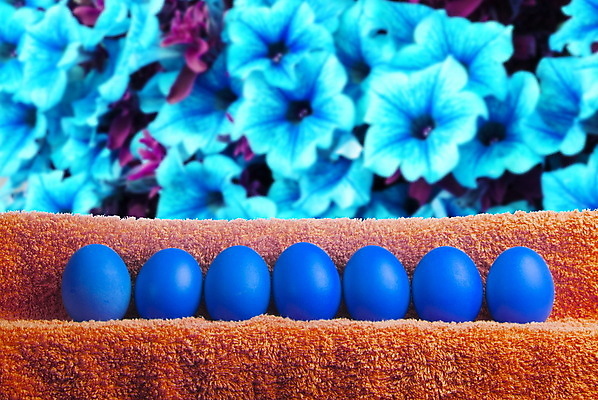 포토 JPG 해외이미지 전통 디자인 계절 꽃 행복 종교 분홍색 백그라운드 패턴 자연 하늘 휴가 부활절 선물 이벤트 사람없음 장식 가로 빨간색 초록색 파란색 컬러풀 노란색 우주 주방 계란 축제 치킨 페인트 봄 흰색 축하 신선 그리기 심볼 오브젝트 질감 냅킨 사냥 고립 줄서기 카피스페이스 해외202004 해외포토 식물 기념일 감정 컬러 컨셉 무늬 모션 알 공백 생태계 닭고기요리 파일형식 이미지허브