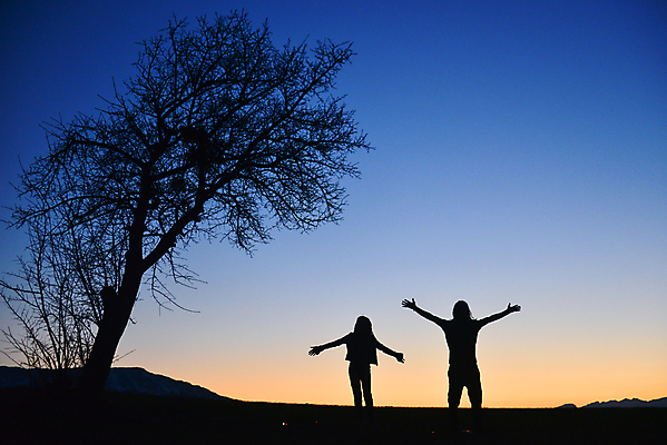 포토 JPG 해외이미지 나무 행복 무기 자연 하늘 건강 사람없음 빛 평화 일몰 기쁨 자유 해외202004 해외포토 식물 감정 컨셉 노을 생태계 파일형식 이미지허브
