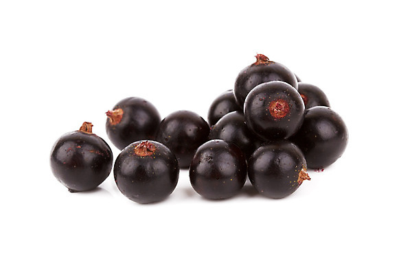 포토 JPG 해외이미지 계절 열매 음식 백그라운드 과일 자연 사람없음 농작물 검은색 식사 흰색 신선 선택 다발 먹기 날것 부드러움 건포도 고립 숙성 타르트 해외202004 해외포토 식물 빵 컬러 컨셉 농업 모션 포도 감각 생태계 파이_빵 건과일 파일형식 이미지허브