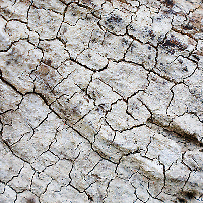 포토 JPG 해외이미지 식물 선 패턴 채소 자연 표면 추상 건조 그림자 사람없음 목재 갈색 환경 거친 균열 숲 그늘 자르기 질감 내추럴 썩음 해외202004 해외포토 나무 컬러 무늬 재료 모션 생태계 파일형식 이미지허브