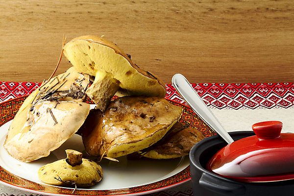 포토 JPG 해외이미지 식기 접시 음식 채소 자연 건강 이끼 요리 사람없음 갈색 주방 식사 저녁식사 버섯 가을 신선 숲 먹기 냅킨 날것 곰팡이 식용 옛날 정물화 채식주의자 핸드메이드 해외202004 해외포토 계절 컬러 모션 그림 생태계 채식 파일형식 이미지허브