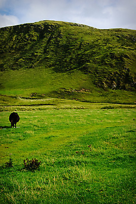 포토 JPG 해외이미지 산 풍경 사람없음 초록색 아일랜드 해외202004 해외포토 유럽 컬러 파일형식 이미지허브