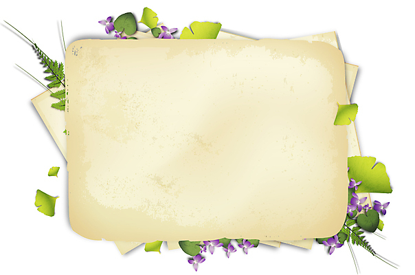 포토 JPG 해외이미지 꽃 종이 잎 꽃무늬 일러스트 자연 사람없음 장식 수확 기록 화려 메시지 역사 제비꽃 흰배경 복고 한조각 스크랩북 양치류 옛날 원고 편지쓰기 노화 스타일 카피스페이스 해외202004 해외포토 식물 1 백그라운드 컨셉 무늬 농업 공백 흰색 편지 생태계 파일형식 이미지허브