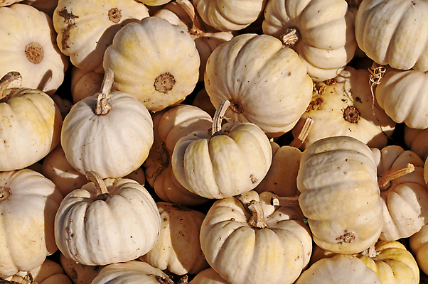 포토 JPG 해외이미지 계절 단풍 채소 재료 건강 요리 사람없음 중국 시장 수프 상품 만족 부드러움 많음 제의 해외202004 해외포토 감정 아시아 컨셉 잎 감각 파일형식 이미지허브