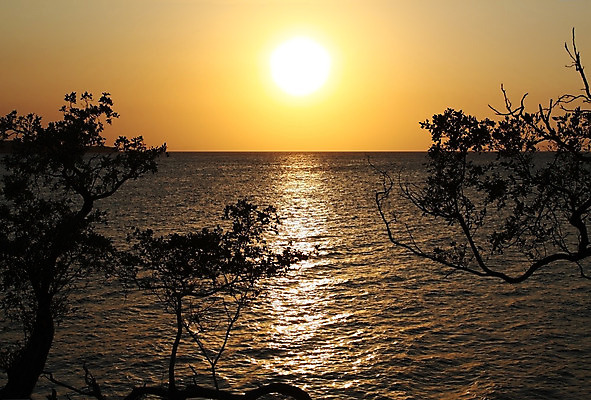 포토 JPG 해외이미지 나무 실루엣 바다 여행 오렌지 하늘 휴가 풍경 사람없음 태양 반사 노란색 일출 미국 어둠 일몰 황금 쿠바 설정 카리브해 잔물결 파라다이스 수평선 해외202004 해외포토 자연요소 식물 물결 컬러 북아메리카 과일 촬영기법 노을 중앙아메리카 파일형식 이미지허브