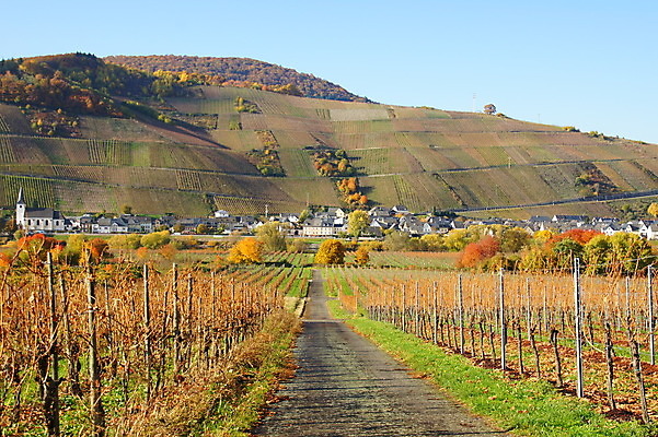 포토 JPG 해외이미지 사람없음 해외202004 해외포토 파일형식 이미지허브