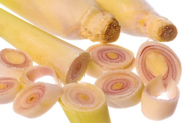 포토 JPG 해외이미지 식물 음식 농업 채소 재료 자연 사람없음 닫기 레몬 허브 향신료 고립 해외202004 해외포토 산업 과일 모션 생태계 향미료 파일형식 이미지허브