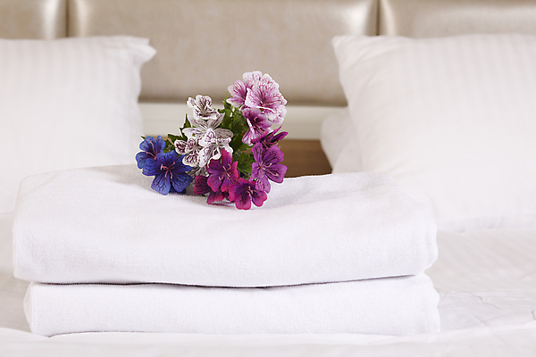 포토 JPG 해외이미지 디자인 꽃 여행 가구 비즈니스 건축양식 베개 침구 호텔 휴가 휴식 바닥 주택 실내 사람없음 내부 목재 장식 빛 카펫 침실 방 흰색 침대 램프 커튼 고급 우아함 시트 여관 더블 스타일 해외202004 해외포토 나무 식물 건축 컬러 생활용품 컨셉 재료 숙소 조명 건물 파일형식 이미지허브