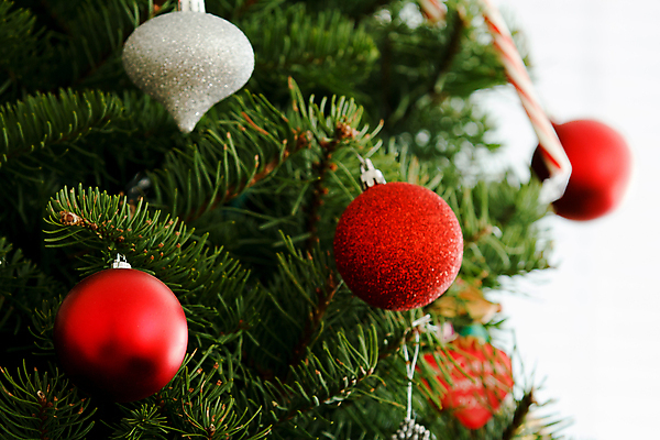 포토 JPG 해외이미지 나무 전통 계절 크리스마스 공 휴가 기념 매달리기 사람없음 장식 빨간색 초록색 크리스마스트리 지구본 축제 축하 화려 12월 오브젝트 상록수 해외202004 해외포토 식물 기념일 컬러 컨셉 모션 날짜 파일형식 이미지허브