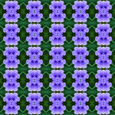 포토 JPG 해외이미지 식물 전통 계절 꽃 백그라운드 잎 꽃무늬 패턴 밭 자연 벽지 추상 건강 사람없음 가로 초록색 컬러풀 약 보라색 성장 허브 뿌리 꼬투리 땅바닥 해외202004 해외포토 컬러 무늬 농업 의학 바닥 생태계 파일형식 이미지허브