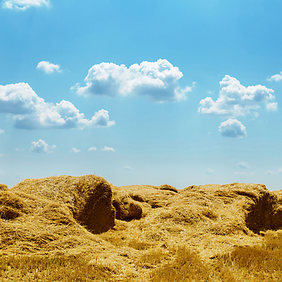 포토 JPG 해외이미지 주간 구름 농업 하늘 풍경 사람없음 야외 농경지 시골 짚더미 뭉치 밀짚 해외202004 해외포토 자연요소 산업 농장 볏짚 짚 파일형식 더미 이미지허브
