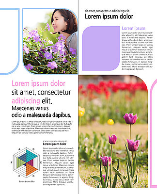 PSD 템플릿 편집 표지디자인 북디자인 출판디자인 여자 꽃 내지 리플렛 2단접지 북커버 그래프 한명 팜플렛 성인 옆모습 30대 봄 한국인 튤립 냄새 이미지템플릿 식물 1 계절 뷰포인트 사람 동양인 장년 파일형식