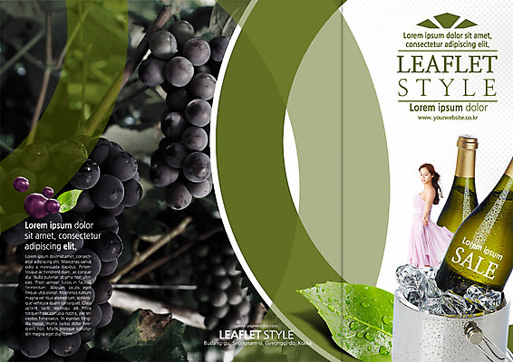 PSD 외국인 템플릿 편집 표지디자인 북디자인 출판디자인 드레스 여자 표지 리플렛 북커버 3단접지 포도 한명 팜플렛 20대 성인 옆모습 세일 와인 얼음 와인병 얼음통 이미지템플릿 자연요소 1 옷 뷰포인트 과일 병_용기 주류 사람 인종 청년 파일형식