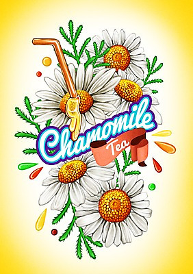 PSD 음료 일러스트 빨대 사람없음 라벨 물방울 차 캐모마일 국내일러스트 꽃 프레임 허브 파일형식
