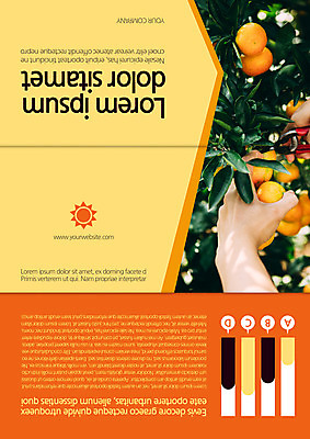 템플릿 편집 표지디자인 북디자인 손 출판디자인 표지 리플렛 여행 말풍선 북커버 3단접지 그래프 귤 팜플렛 태양 제주도 수확 국내여행 귤나무 이미지템플릿 AI파일 자연요소 나무 농업 과일 한국 신체부위 파일형식 벡터