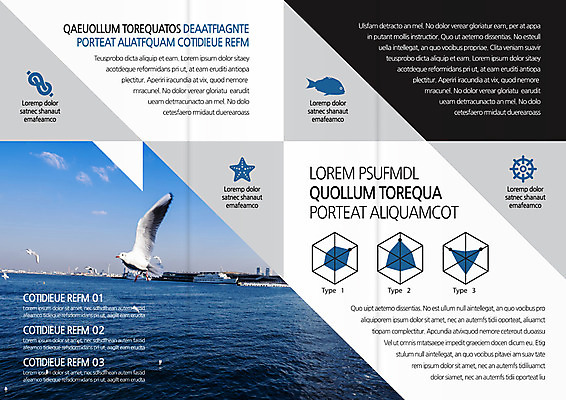 구름 템플릿 편집 표지디자인 북디자인 출판디자인 내지 리플렛 여행 북커버 3단접지 갈매기 하늘 그래프 불가사리 어류 팜플렛 사람없음 항구 비행 키_배핸들 선박 이미지템플릿 AI파일 자연요소 수상교통 교통시설 조류 극피동물 수중동물 핸들 파일형식 벡터