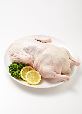 포토 JPG 스튜디오촬영 한마리 접시 식재료 실내 파슬리 육류 사람없음 레몬 흰배경 슬라이스 오리고기 국내포토 1 식기 백그라운드 채소 과일 오리 내부 흰색 파일형식