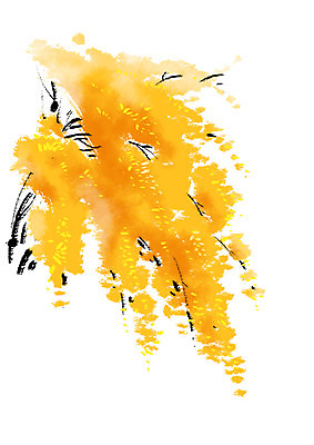 PSD 식물 일러스트 캘리그라피 사람없음 노란색 나뭇가지 개나리 국내일러스트 나무 꽃 컬러 파일형식