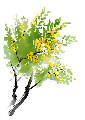 PSD 식물 꽃 잎 일러스트 캘리그라피 사람없음 노란색 나뭇가지 국내일러스트 나무 컬러 파일형식