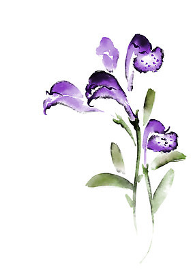 PSD 식물 꽃 여러송이 잎 일러스트 캘리그라피 사람없음 보라색 국내일러스트 컬러 다수 파일형식