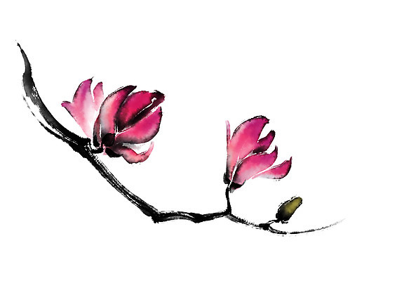 PSD 식물 꽃 분홍색 일러스트 캘리그라피 사람없음 나뭇가지 두송이 꽃봉오리 국내일러스트 나무 컬러 2 파일형식
