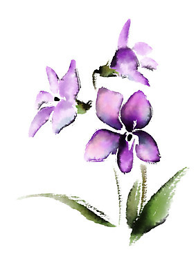 PSD 식물 꽃 잎 일러스트 캘리그라피 사람없음 보라색 개화 세송이 국내일러스트 컬러 3 파일형식