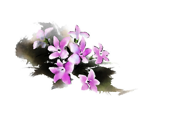 PSD 식물 꽃 분홍색 여러송이 일러스트 캘리그라피 사람없음 개화 국내일러스트 컬러 다수 파일형식