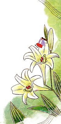 PSD 계절 여자 꽃 백그라운드 일러스트 나뭇잎 한명 성인 봄 백합 계절백그라운드 봄배경 국내일러스트 식물 1 잎 사람 파일형식