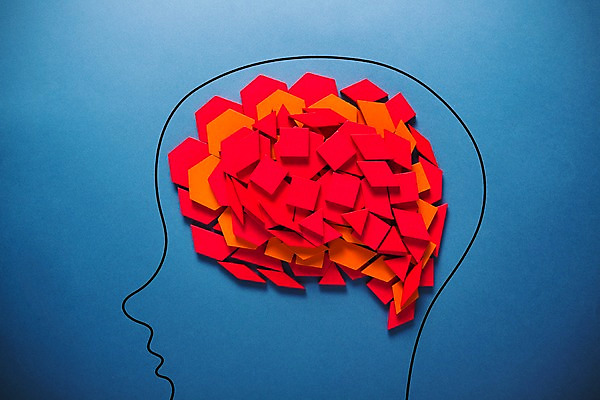 포토 JPG 스튜디오촬영 교육 사람없음 장난감 블록 오브젝트 두뇌 뇌 교구 교육용품 유아교구 에듀 에듀케이션 완구용품 나무블록 교보재 국내포토 문구용품 실내 목재 유아교재 파일형식