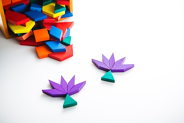 포토 JPG 스튜디오촬영 교육 꽃 사람없음 장난감 블록 오브젝트 교구 교육용품 유아교구 에듀 에듀케이션 완구용품 나무블록 교보재 국내포토 식물 문구용품 실내 목재 유아교재 파일형식