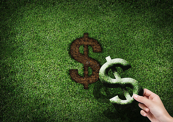 PSD 편집 편집이미지 손 비즈니스 자국 잔디 금융 달러 흙 화폐기호 이미지편집 식물 기호 돈 신체부위 경제 화폐 파일형식