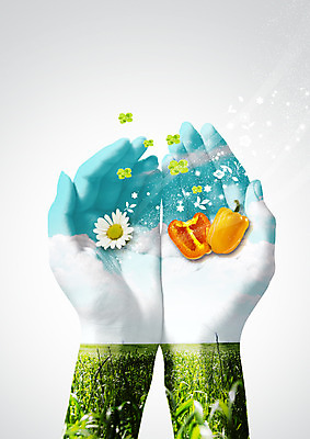 PSD 편집 편집이미지 꽃 실루엣 음식 단면 피망 초원 양손 클로버 손모으기 이미지편집 식물 손 채소 촬영기법 손짓 파일형식