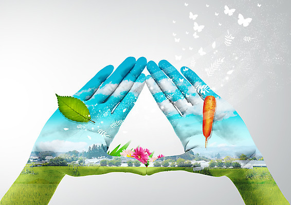 PSD 나무 편집 편집이미지 꽃 실루엣 음식 나비 나뭇잎 손바닥 손짓 초원 당근 양손 이미지편집 식물 손 곤충 잎 모션 뿌리채소 촬영기법 파일형식