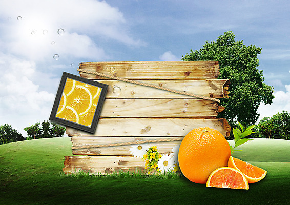 PSD 나무 구름 편집 편집이미지 꽃 밧줄 음식 액자 오렌지 하늘 단면 잔디 사람없음 물방울 판넬 나무판자 이미지편집 자연요소 식물 줄 과일 목재 파일형식