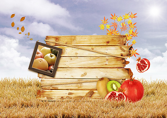 PSD 구름 편집 편집이미지 밧줄 음식 액자 단풍 잎 하늘 단면 나뭇잎 키위 사람없음 추수 가을 판넬 배 풀 사과 석류 나무판자 이미지편집 자연요소 식물 계절 줄 농업 과일 목재 파일형식