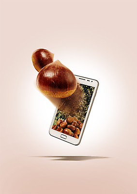 PSD 식물 편집 편집이미지 열매 음식 사람없음 스마트폰 밤 밤나무 이미지편집 나무 핸드폰 스마트기기 견과류 밤_견과류 파일형식