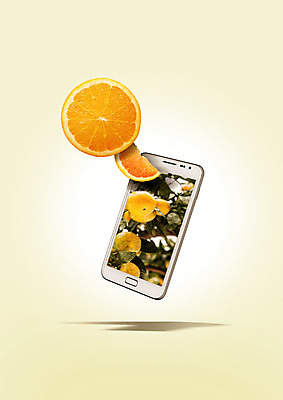 PSD 편집 편집이미지 열매 음식 오렌지 단면 귤 사람없음 스마트폰 귤나무 이미지편집 나무 식물 과일 핸드폰 스마트기기 파일형식