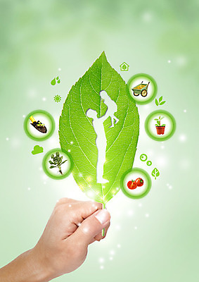 PSD 식물 편집 편집이미지 손 실루엣 화분 안기 방울토마토 나뭇잎 들기 농사 수레 수확 아기 모종삽 유기농 이미지편집 웰빙 잎 농업 토마토 모션 촬영기법 사람 신체부위 카트 삽 파일형식