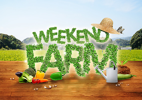 PSD 편집 편집이미지 알파벳 나비 방울토마토 호박 가지 피망 사람없음 새싹 농사 흙 당근 물뿌리개 수확 물방울 마루 브로콜리 유기농 밀짚모자 청경채 주말농장 이미지편집 식물 모자_잡화 웰빙 영어 곤충 농업 토마토 채소 바닥 뿌리채소 농장 파일형식