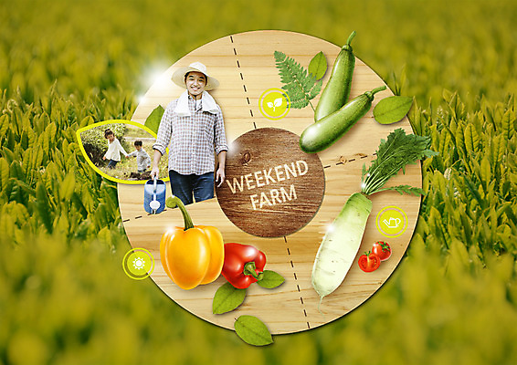 PSD 편집 편집이미지 여자 남자 잎 밭 방울토마토 호박 피망 나뭇잎 웃음 소녀 소년 상반신 성인 세명 30대 수건 농사 손잡기 물뿌리개 한국인 수확 무 유기농 밀짚모자 이미지편집 식물 모자_잡화 웰빙 어린이 농업 토마토 채소 모션 뿌리채소 표정 사람 동양인 장년 위생용품 파일형식